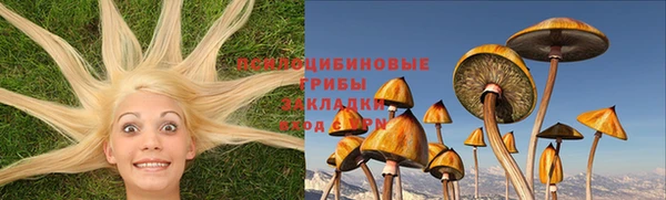 ешки Елизово