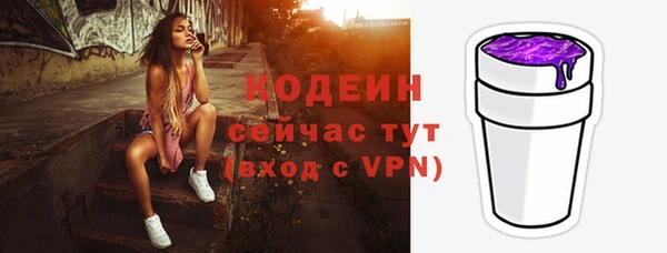 дмт Ельня