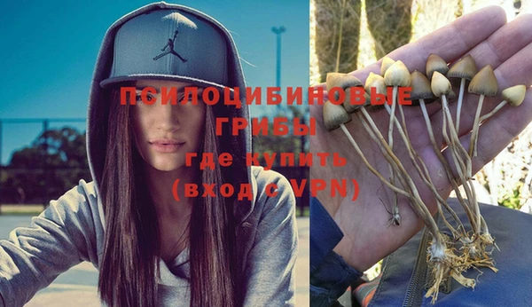 ешки Елизово