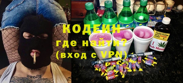 дмт Ельня