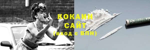 дмт Ельня