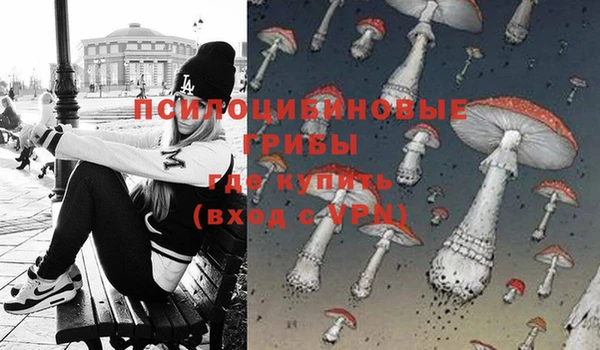ешки Елизово