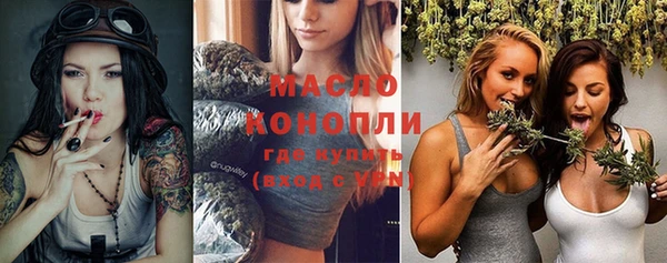 дмт Ельня
