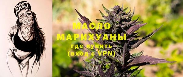 дмт Ельня