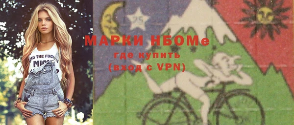 дмт Ельня