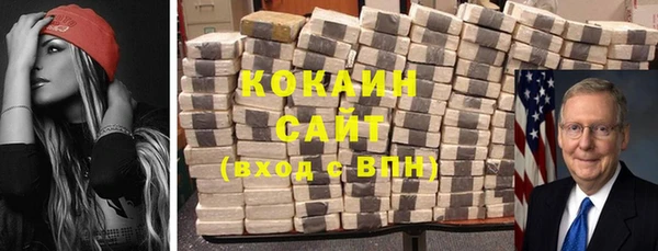 дмт Ельня