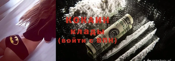 дмт Ельня