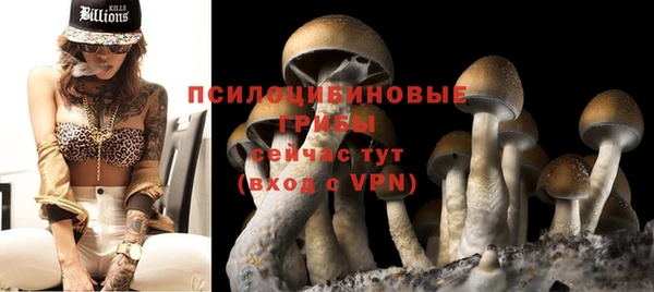 герыч Елабуга