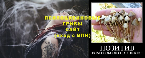 дмт Ельня
