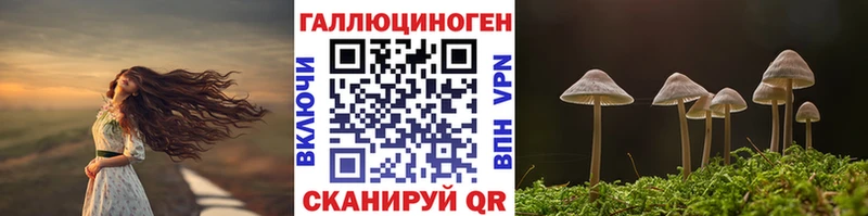 Купить где  Карачев  Галлюциногенные грибы Psilocybe 